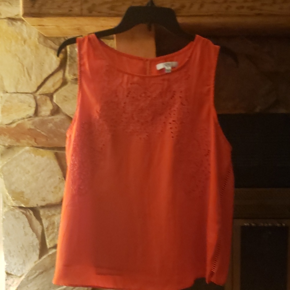 Q&A Sleeveless Stich Fix Shirt